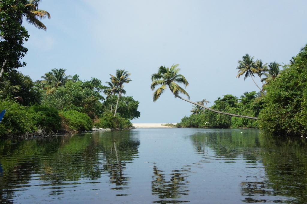 Marari Secret Beach Yoga Homestay 马拉利库兰 外观 照片
