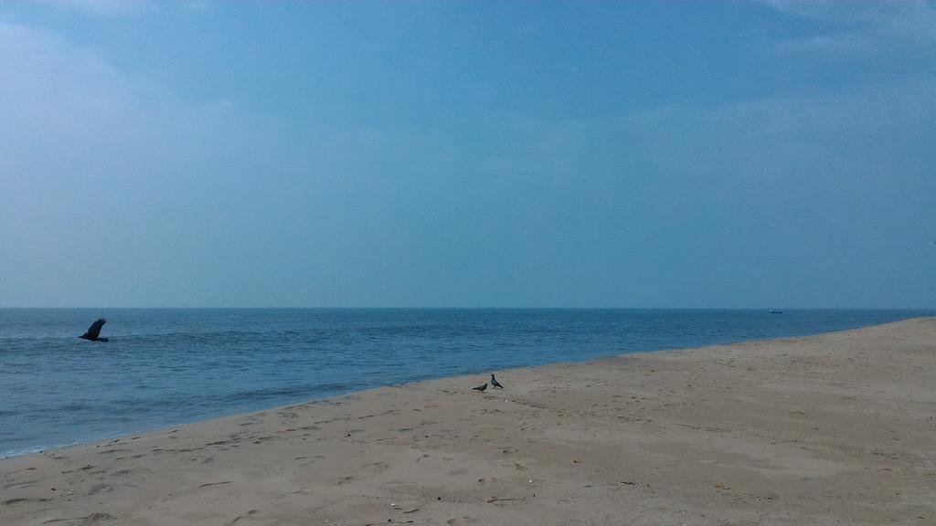 Marari Secret Beach Yoga Homestay 马拉利库兰 外观 照片